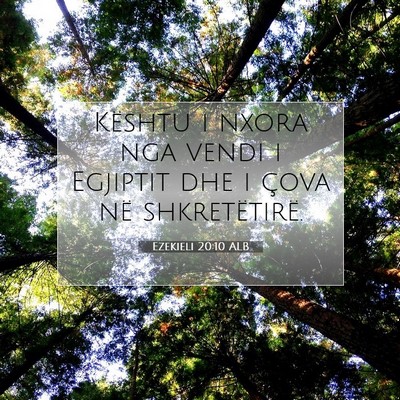 Picture 07 - Ezekieli 20:10 ALB - Kështu i nxora nga vendi i Egjiptit dhe i çova - Bible Verse Picture