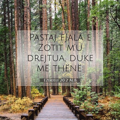 Picture 07 - Ezekieli 20:2 ALB - Pastaj fjala e Zotit m’u drejtua, duke më - Bible Verse Picture