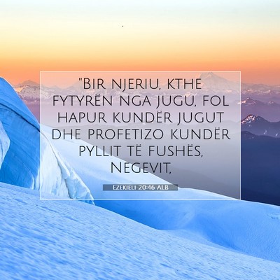 Picture 07 - Ezekieli 20:46 ALB - 