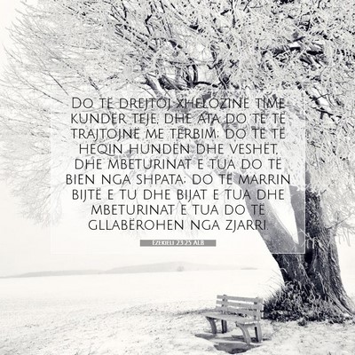 Picture 07 - Ezekieli 23:25 ALB - Do të drejtoj xhelozinë time kundër teje, dhe - Bible Verse Picture