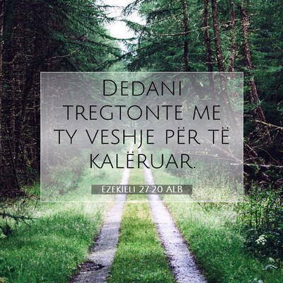 Picture 07 - Ezekieli 27:20 ALB - Dedani tregtonte me ty veshje për të - Bible Verse Picture