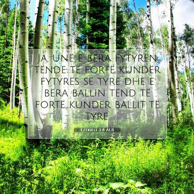 Picture 07 - Ezekieli 3:8 ALB - Ja, unë e bëra fytyrën tënde të fortë - Bible Verse Picture