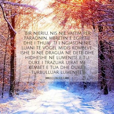 Picture 07 - Ezekieli 32:2 ALB - 