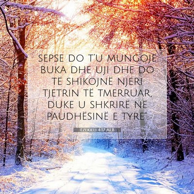Picture 07 - Ezekieli 4:17 ALB - sepse do t’u mungojë buka dhe uji dhe do të - Bible Verse Picture