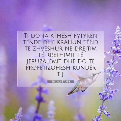 Picture 07 - Ezekieli 4:7 ALB - Ti do ta kthesh fytyrën tënde dhe krahun tënd - Bible Verse Picture