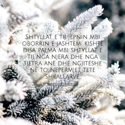 Picture 07 - Ezekieli 40:37 ALB - Shtyllat e tij jepnin mbi oborrin e jashtëm; - Bible Verse Picture