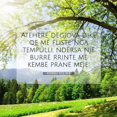 Picture 07 - Ezekieli 43:6 ALB - Atëherë dëgjova dikë që më fliste nga - Bible Verse Picture