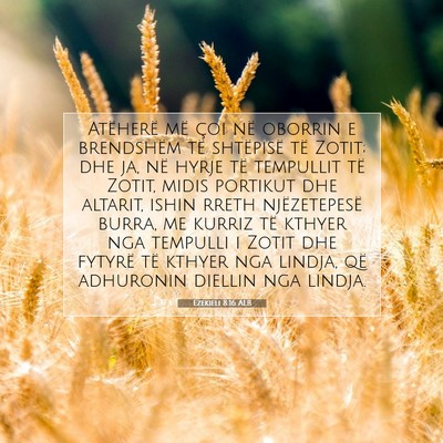Picture 07 - Ezekieli 8:16 ALB - Atëherë më çoi në oborrin e brendshëm të - Bible Verse Picture