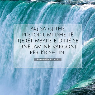 Picture 07 - Filipianëve 1:13 ALB - aq sa gjithë pretoriumi dhe të tjerët mbarë e - Bible Verse Picture
