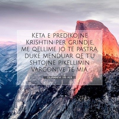 Picture 07 - Filipianëve 1:16 ALB - Këta e predikojnë Krishtin për grindje, me - Bible Verse Picture