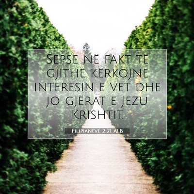 Picture 07 - Filipianëve 2:21 ALB - Sepse në fakt të gjithë kërkojnë interesin e - Bible Verse Picture