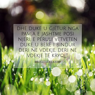 Picture 07 - Filipianëve 2:8 ALB - dhe duke u gjetur nga pamja e jashtme posi njeri, - Bible Verse Picture