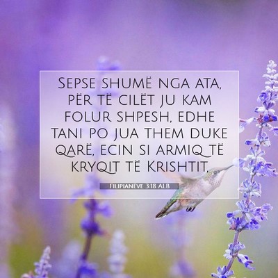Picture 07 - Filipianëve 3:18 ALB - Sepse shumë nga ata, për të cilët ju kam - Bible Verse Picture