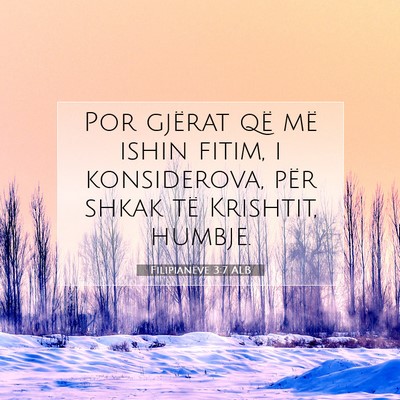 Picture 07 - Filipianëve 3:7 ALB - Por gjërat që më ishin fitim, i konsiderova, - Bible Verse Picture