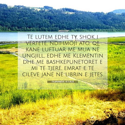Picture 07 - Filipianëve 4:3 ALB - Të lutem edhe ty, shok i vërtetë, ndihmoji - Bible Verse Picture