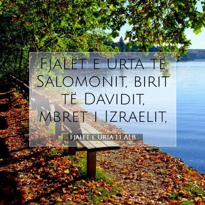 Picture 07 - Fjalët e urta 1:1 ALB - Fjalët e urta të Salomonit, birit të Davidit, - Bible Verse Picture