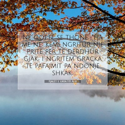 Picture 07 - Fjalët e urta 1:11 ALB - në qoftë se thonë: 
