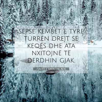 Picture 07 - Fjalët e urta 1:16 ALB - sepse këmbët e tyre turren drejt së keqes dhe - Bible Verse Picture
