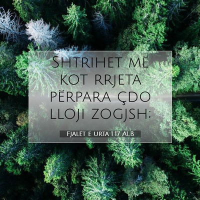 Picture 07 - Fjalët e urta 1:17 ALB - Shtrihet më kot rrjeta përpara çdo lloji - Bible Verse Picture