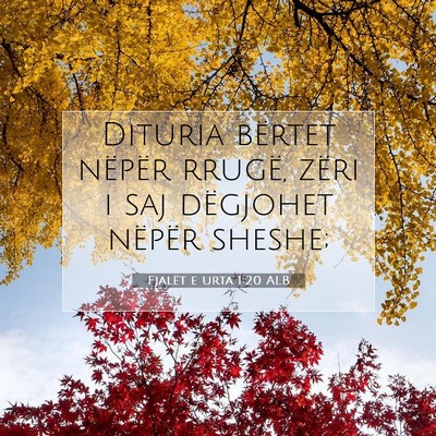 Picture 07 - Fjalët e urta 1:20 ALB - Dituria bërtet nëpër rrugë, zëri i saj - Bible Verse Picture