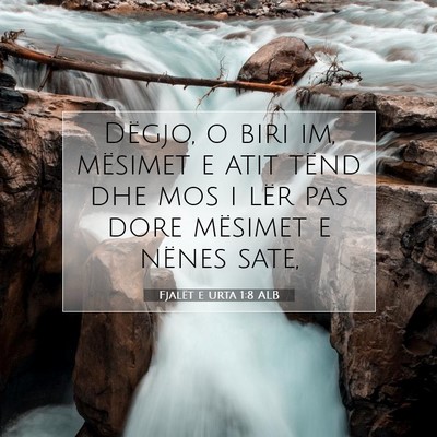 Picture 07 - Fjalët e urta 1:8 ALB - Dëgjo, o biri im, mësimet e atit tënd dhe mos - Bible Verse Picture