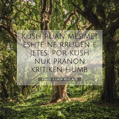 Picture 07 - Fjalët e urta 10:17 ALB - Kush ruan mësimet është në rrugën e jetës; - Bible Verse Picture