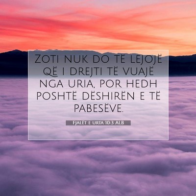 Picture 07 - Fjalët e urta 10:3 ALB - Zoti nuk do të lejojë që i drejti të vuajë - Bible Verse Picture