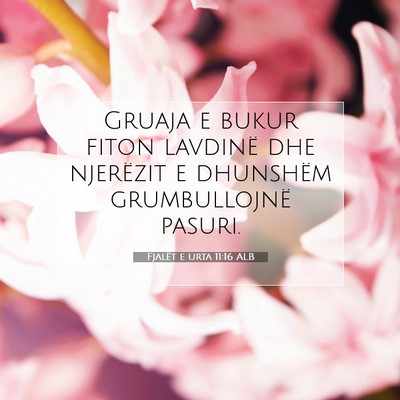 Picture 07 - Fjalët e urta 11:16 ALB - Gruaja e bukur fiton lavdinë dhe njerëzit e - Bible Verse Picture