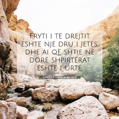 Picture 07 - Fjalët e urta 11:30 ALB - Fryti i të drejtit është një dru i jetës, - Bible Verse Picture