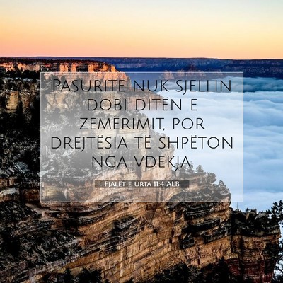 Picture 07 - Fjalët e urta 11:4 ALB - Pasuritë nuk sjellin dobi ditën e zemërimit, - Bible Verse Picture