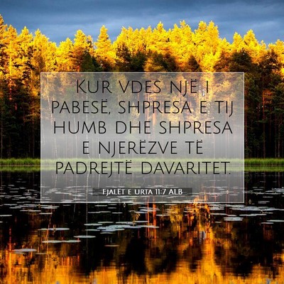 Picture 07 - Fjalët e urta 11:7 ALB - Kur vdes një i pabesë, shpresa e tij humb dhe - Bible Verse Picture