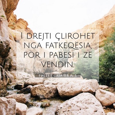 Picture 07 - Fjalët e urta 11:8 ALB - I drejti çlirohet nga fatkeqësia, por i pabesi - Bible Verse Picture