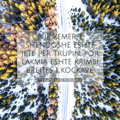 Picture 07 - Fjalët e urta 14:30 ALB - Një zemër e shëndoshë është jetë për - Bible Verse Picture