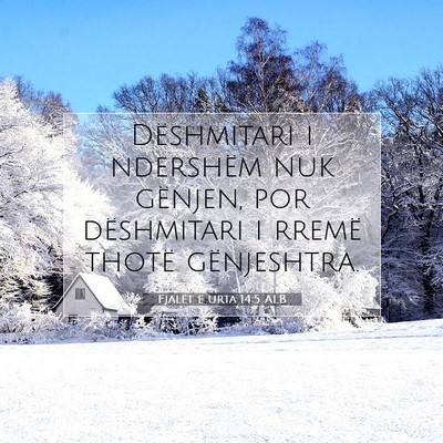 Picture 07 - Fjalët e urta 14:5 ALB - Dëshmitari i ndershëm nuk gënjen, por - Bible Verse Picture