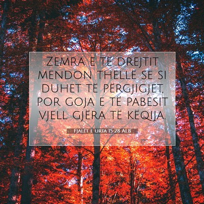 Picture 07 - Fjalët e urta 15:28 ALB - Zemra e të drejtit mendon thellë se si duhet - Bible Verse Picture