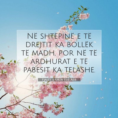 Picture 07 - Fjalët e urta 15:6 ALB - Në shtëpinë e të drejtit ka bollëk të madh, - Bible Verse Picture