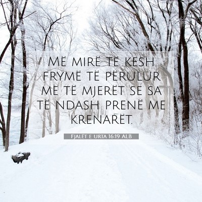 Picture 07 - Fjalët e urta 16:19 ALB - Më mirë të kesh frymë të përulur me të - Bible Verse Picture