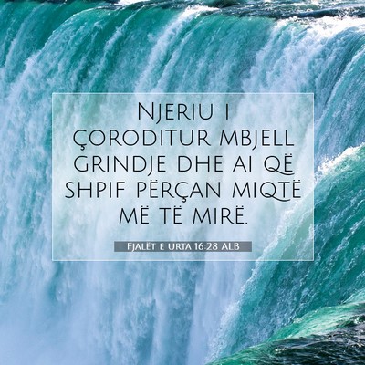 Picture 07 - Fjalët e urta 16:28 ALB - Njeriu i çoroditur mbjell grindje dhe ai që - Bible Verse Picture