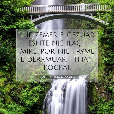 Picture 07 - Fjalët e urta 17:22 ALB - Një zemër e gëzuar është një ilaç i mirë, - Bible Verse Picture
