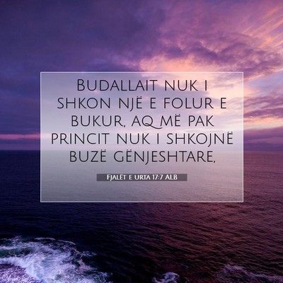 Picture 07 - Fjalët e urta 17:7 ALB - Budallait nuk i shkon një e folur e bukur, aq - Bible Verse Picture