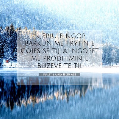 Picture 07 - Fjalët e urta 18:20 ALB - Njeriu e ngop barkun me frytin e gojës së tij, - Bible Verse Picture