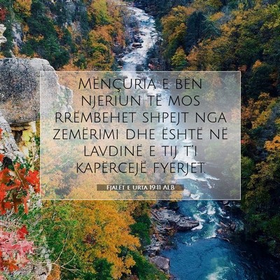 Picture 07 - Fjalët e urta 19:11 ALB - Mënçuria e bën njeriun të mos rrëmbehet - Bible Verse Picture