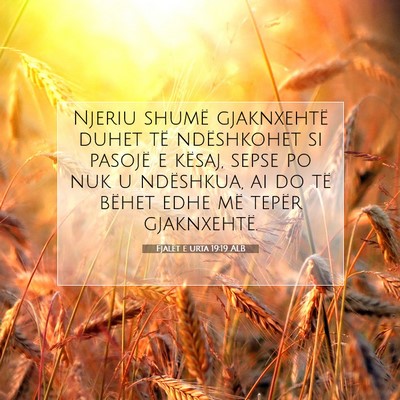 Picture 07 - Fjalët e urta 19:19 ALB - Njeriu shumë gjaknxehtë duhet të ndëshkohet - Bible Verse Picture