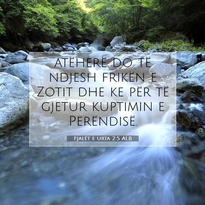 Picture 07 - Fjalët e urta 2:5 ALB - atëherë do të ndjesh frikën e Zotit dhe ke - Bible Verse Picture