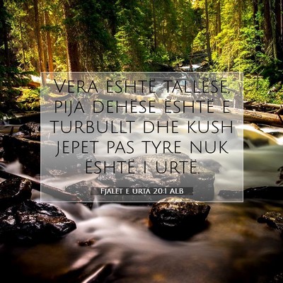 Picture 07 - Fjalët e urta 20:1 ALB - Vera është tallëse, pija dehëse është e - Bible Verse Picture