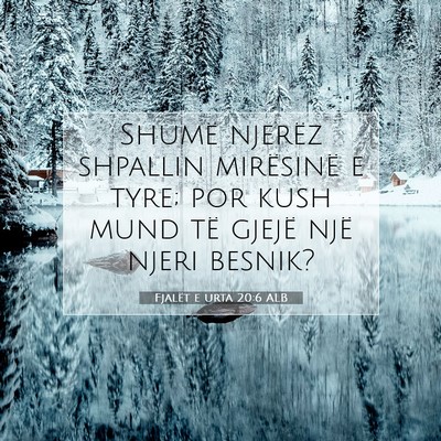 Picture 07 - Fjalët e urta 20:6 ALB - Shumë njerëz shpallin mirësinë e tyre; por - Bible Verse Picture