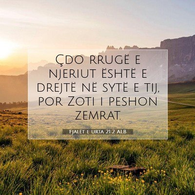 Picture 07 - Fjalët e urta 21:2 ALB - Çdo rrugë e njeriut është e drejtë në sytë - Bible Verse Picture