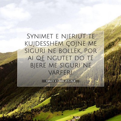 Picture 07 - Fjalët e urta 21:5 ALB - Synimet e njeriut të kujdesshëm çojnë me - Bible Verse Picture