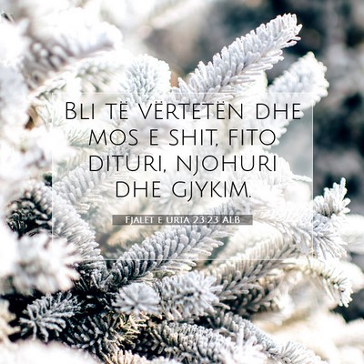 Picture 07 - Fjalët e urta 23:23 ALB - Bli të vërtetën dhe mos e shit, fito dituri, - Bible Verse Picture