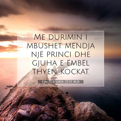 Picture 07 - Fjalët e urta 25:15 ALB - Me durimin i mbushet mendja një princi dhe gjuha - Bible Verse Picture
